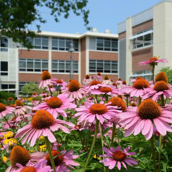 Rider named No. 1 green energy user in Metro Atlantic Athlet