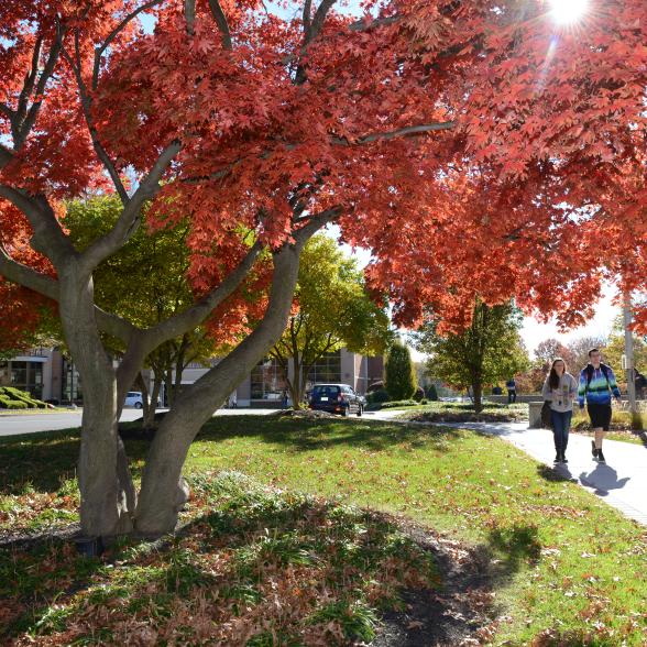Rider named Green College by Princeton Review for 9th straig
