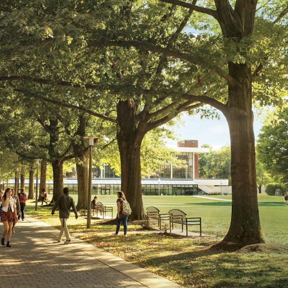 Rider receives mark of distinction for sustainability effort