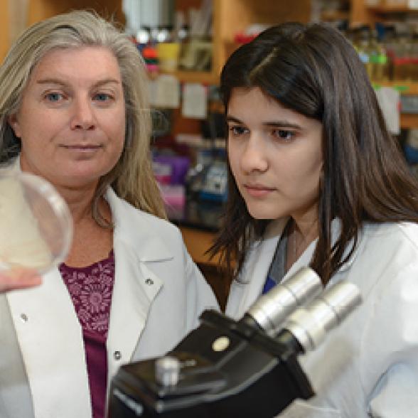 1516COM Rider Magazine Fall Features 400x2502.jpg