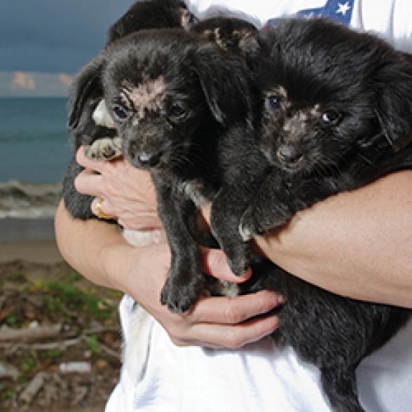 1617COM Rider Magazine Fall Home Page Features_0.jpg