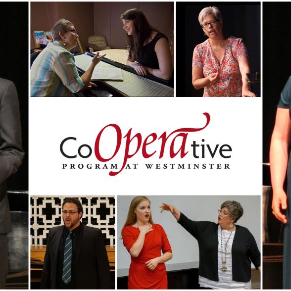 CoOPERAtive program