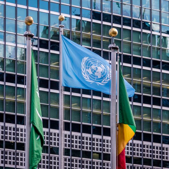 Model UN flag