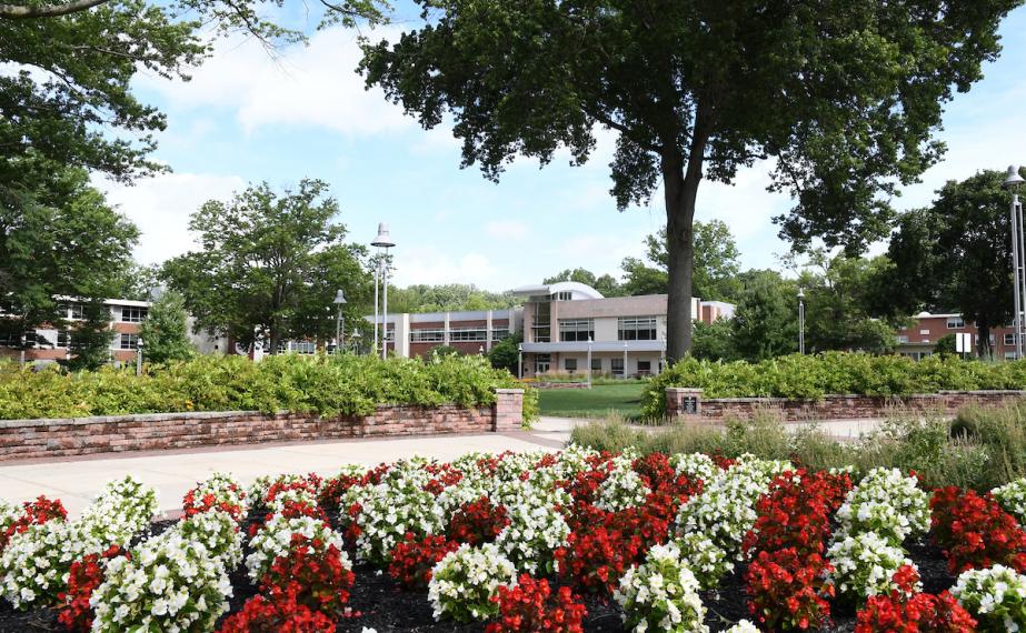 Sociology, B.A. Rider University