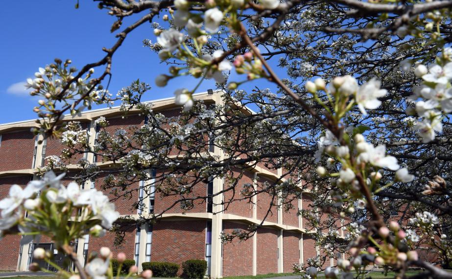 Fine Arts building