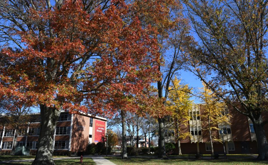 Rider campus in fall