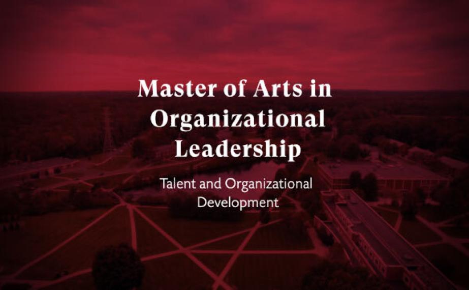 thumbnail: talent and org