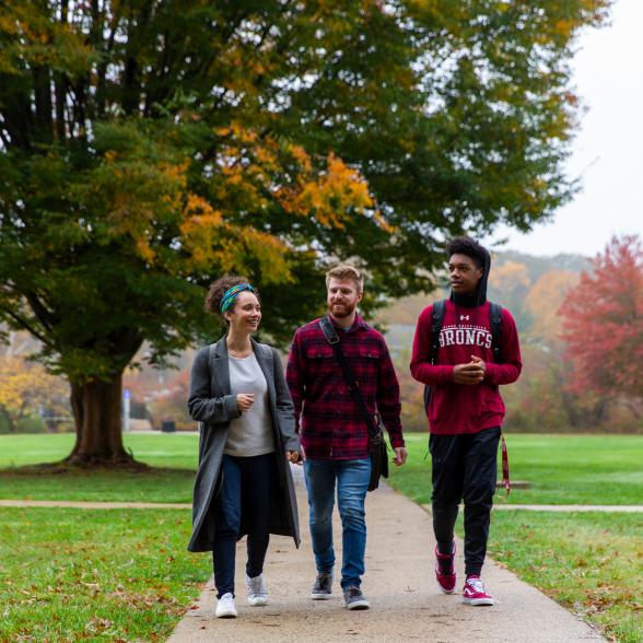 rider university acceptance rate rider university acceptance rate