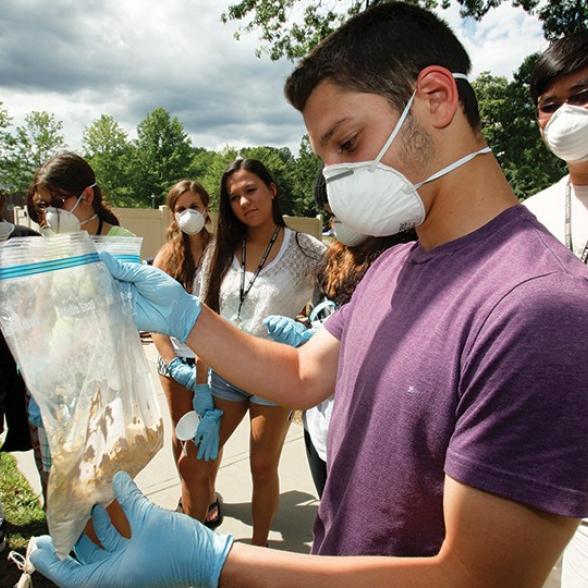 Students observing soil samples