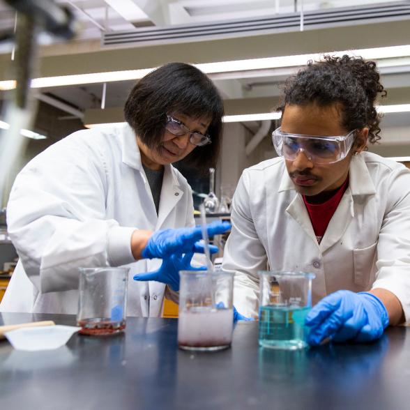 Chemistry professor Feng Chen works with student