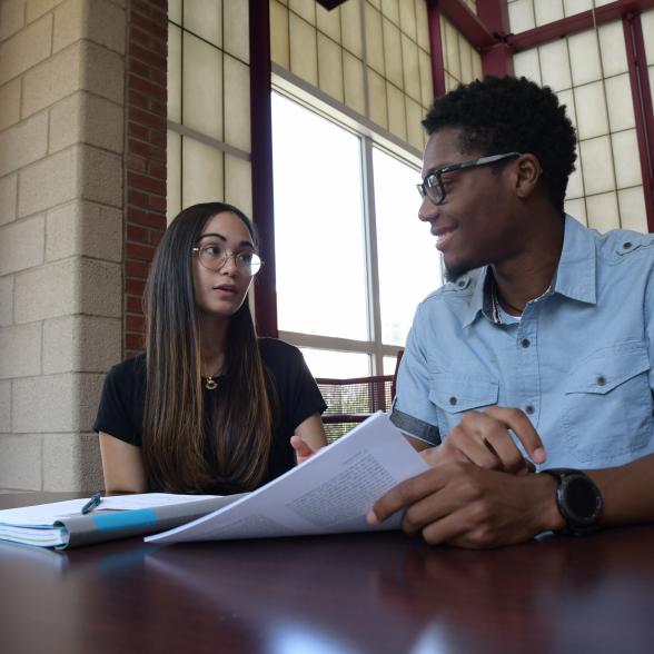 Students collaborate on a project