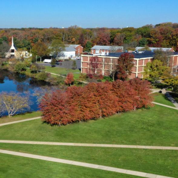 Online Master of Science in Nursing, MSN Rider University