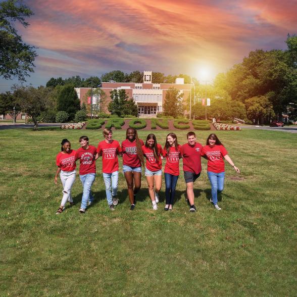 Students walk across campus green together