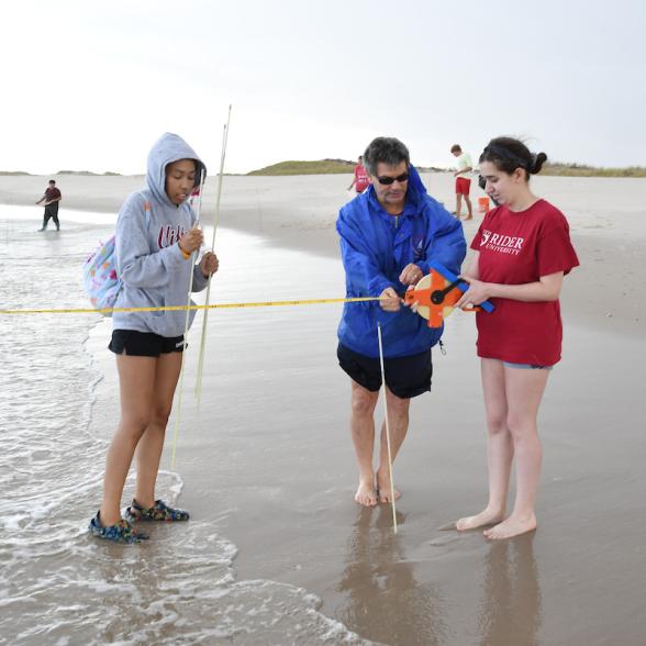 Marine science students work with professor at the beach