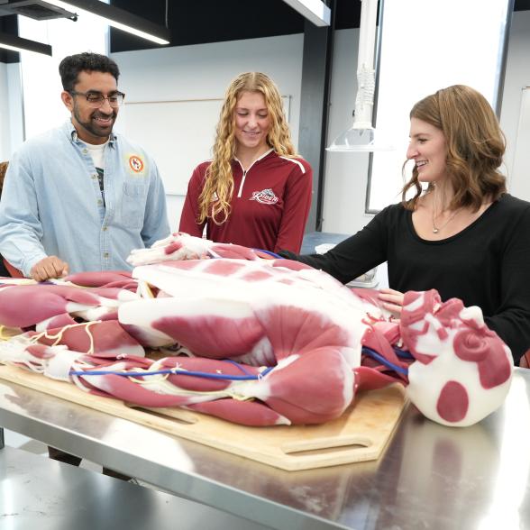 science students with a synthetic cadaver