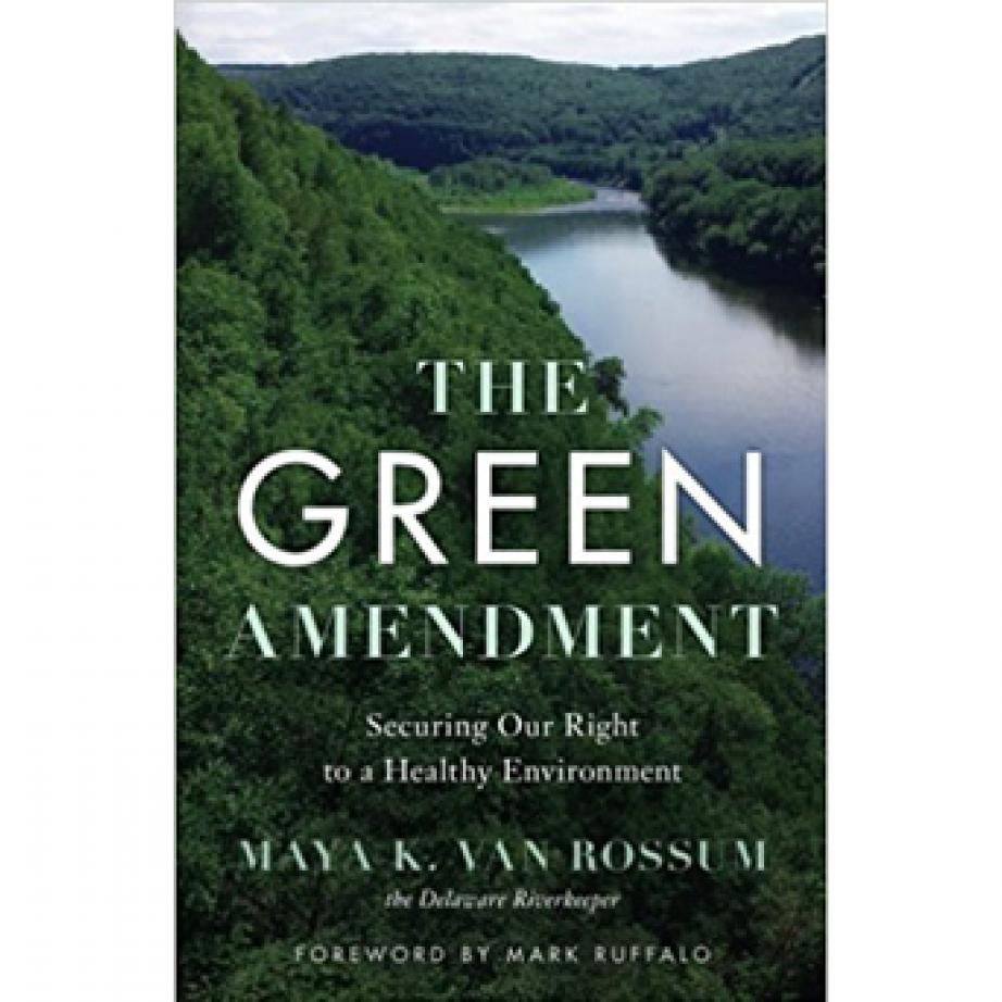 Rebovich-green-amendment.jpg