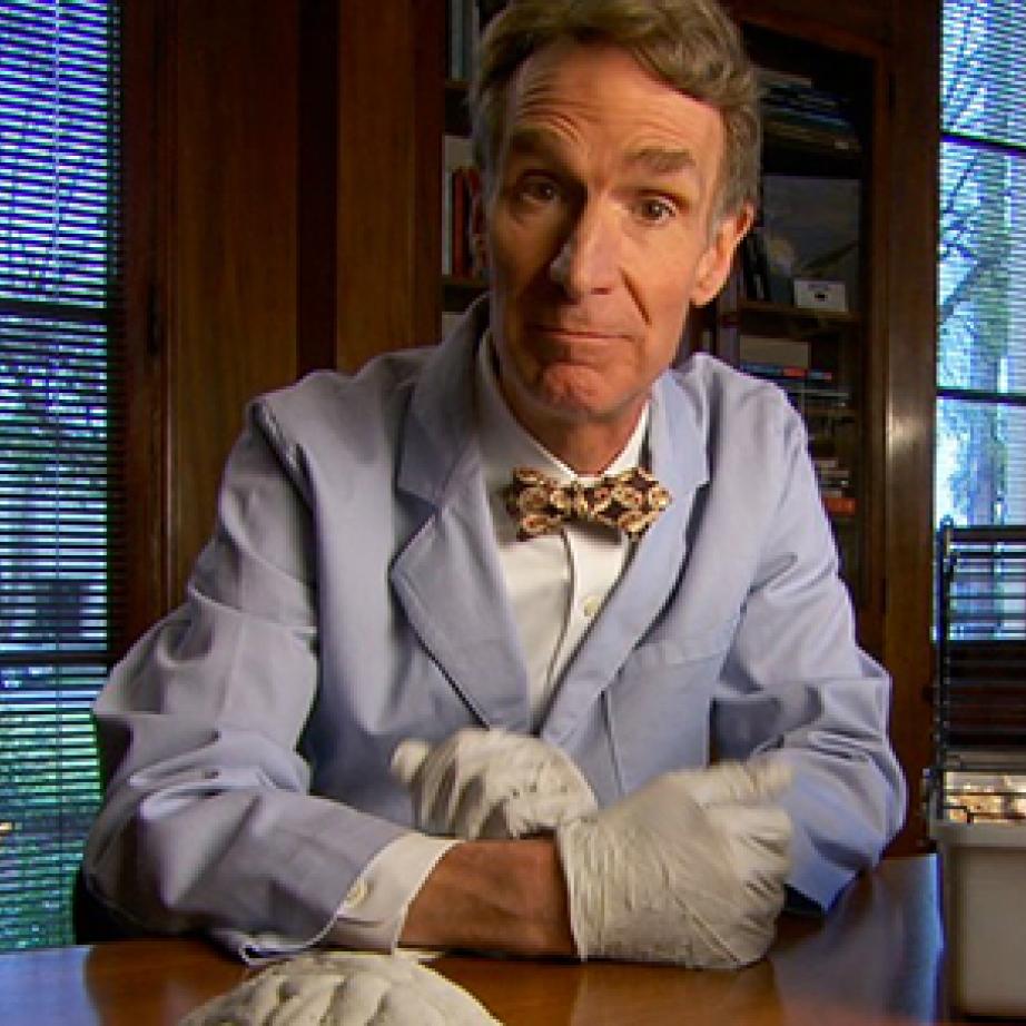 bill-nye.jpg