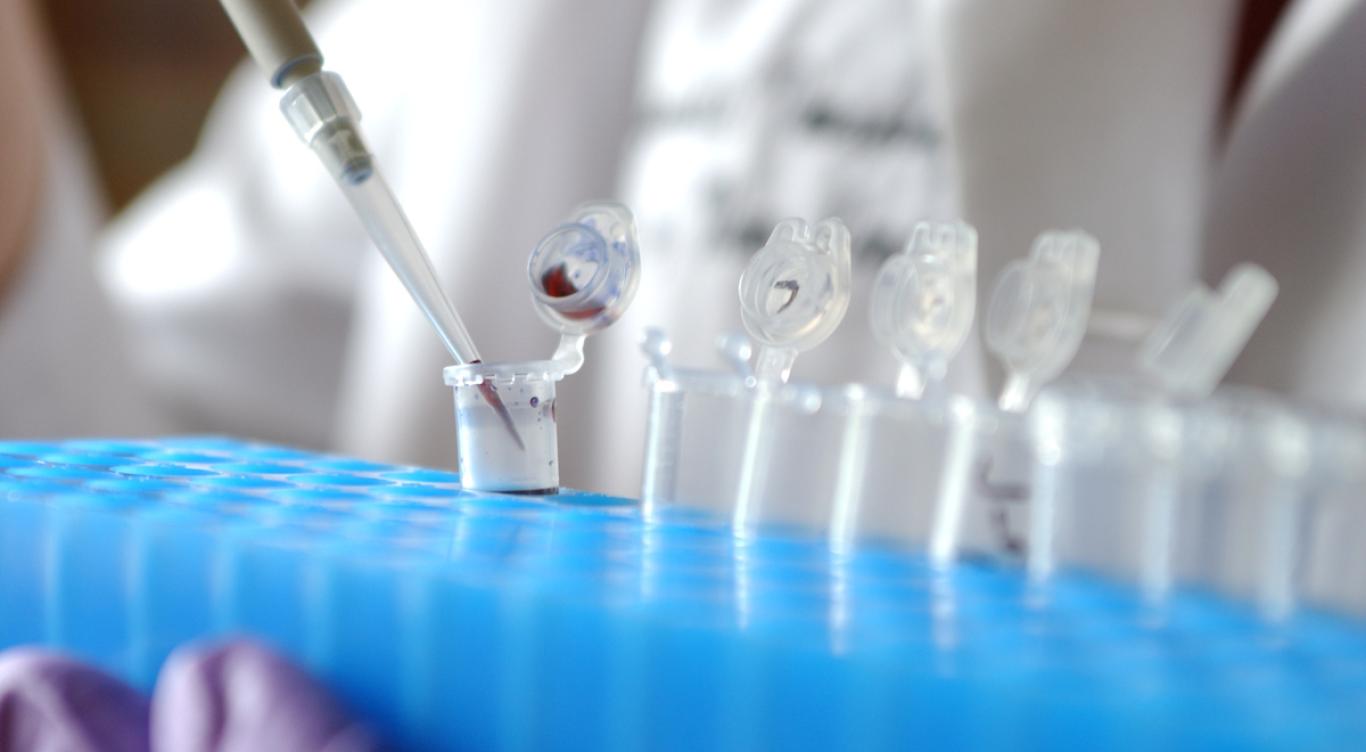 An array of test tubes