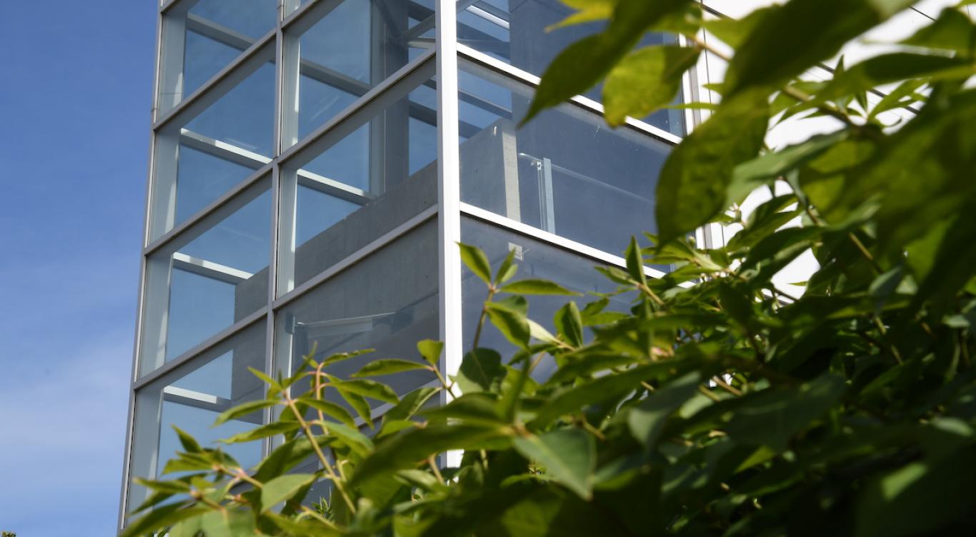 Plants next to Science and Technology Center