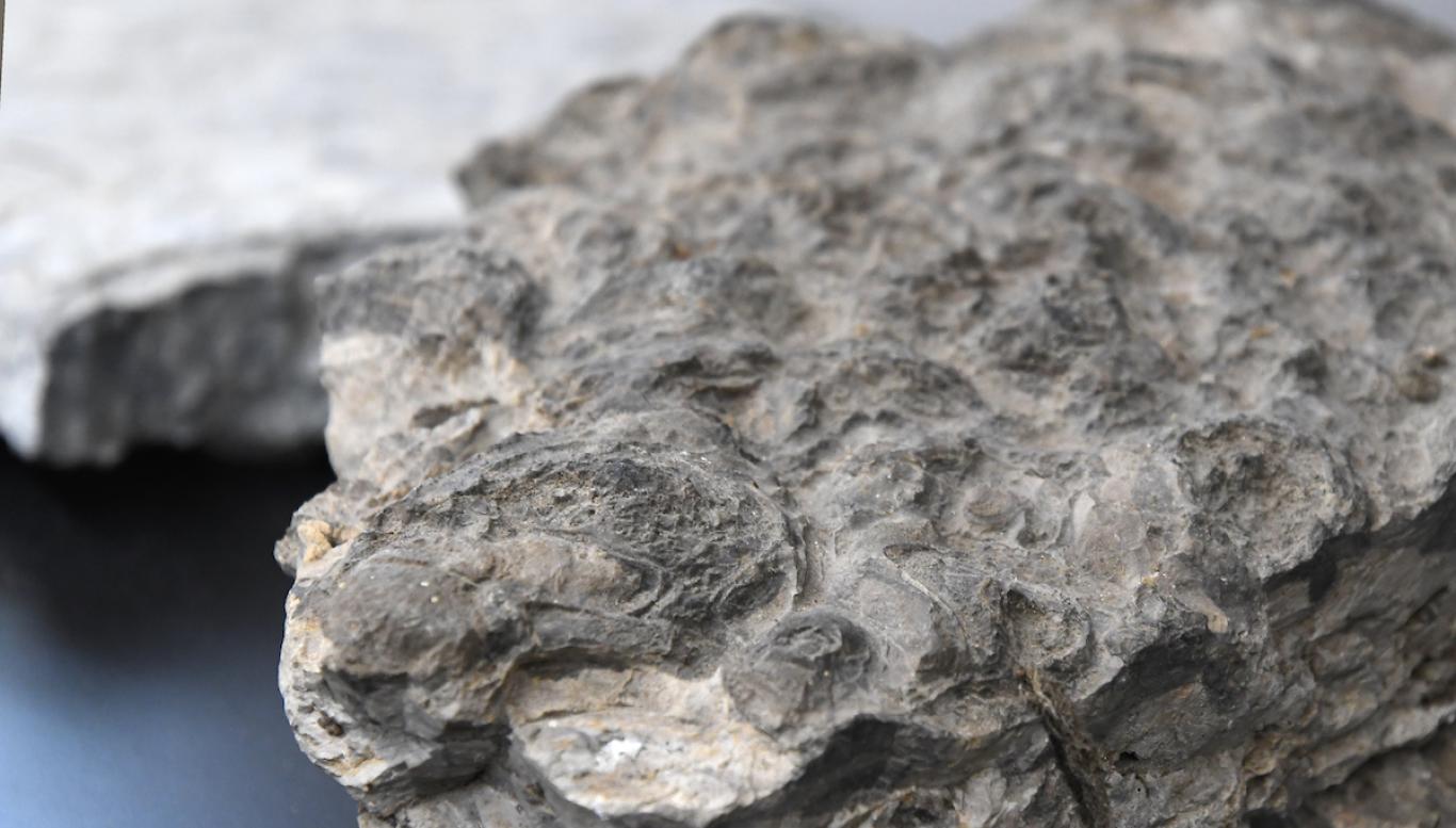 Gray rock formation