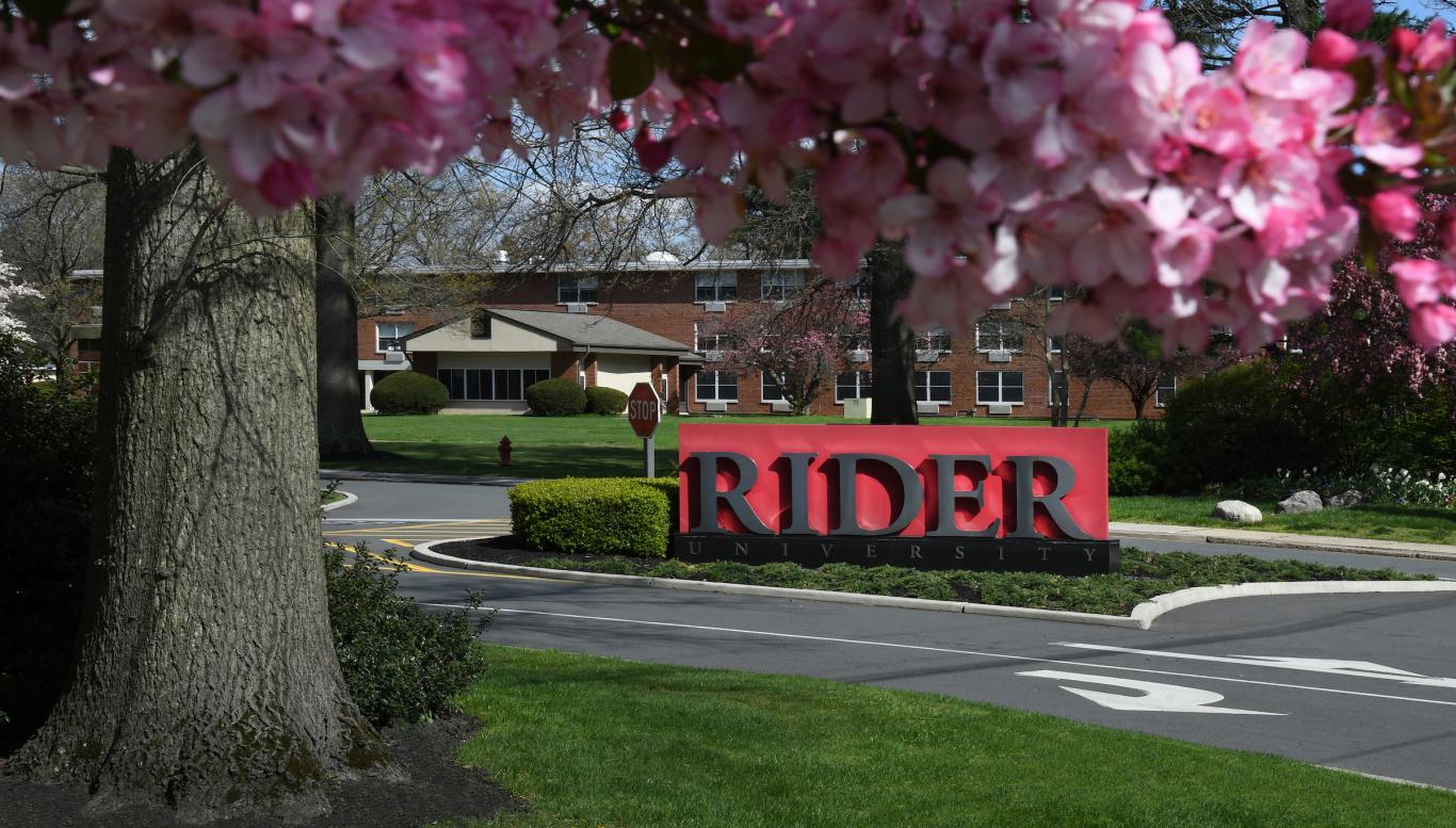 Main entrance in spring