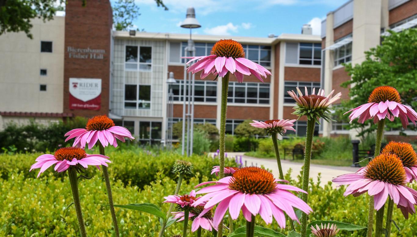 Campus Photo with Spring flowers