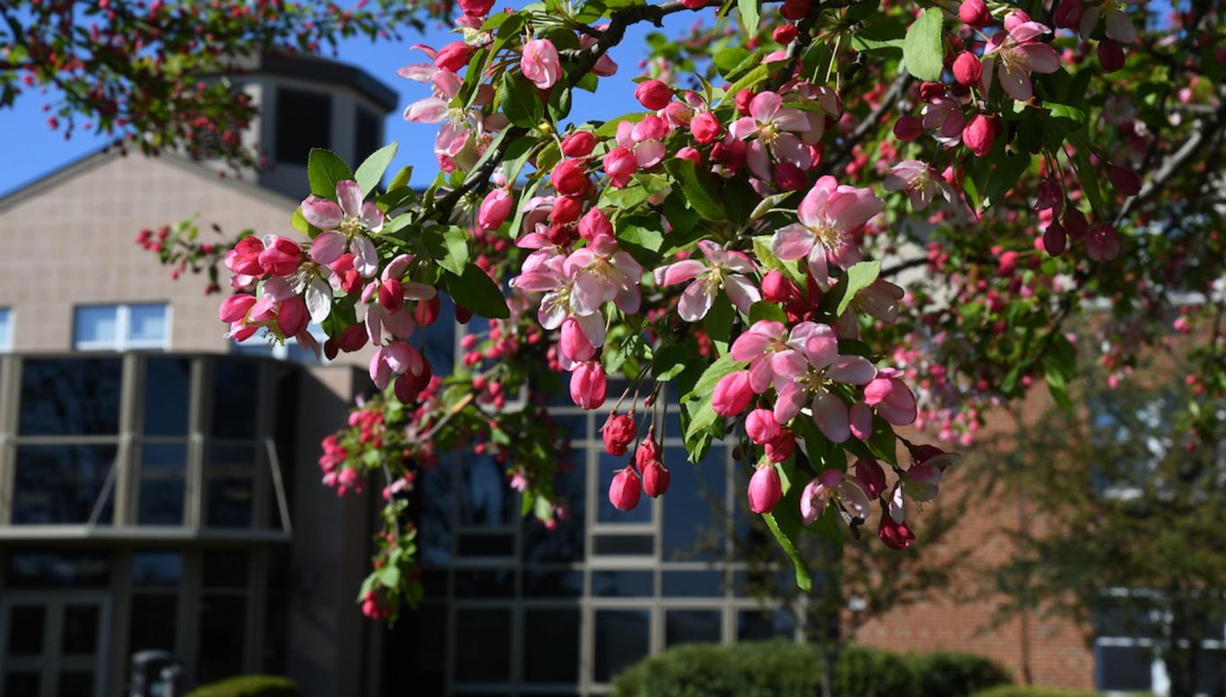 Rider campus building in spring