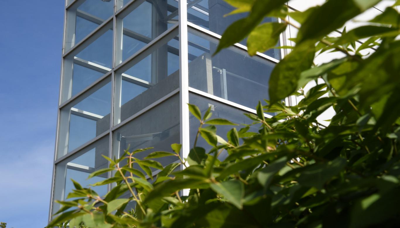 Plants next to Science and Technology Center