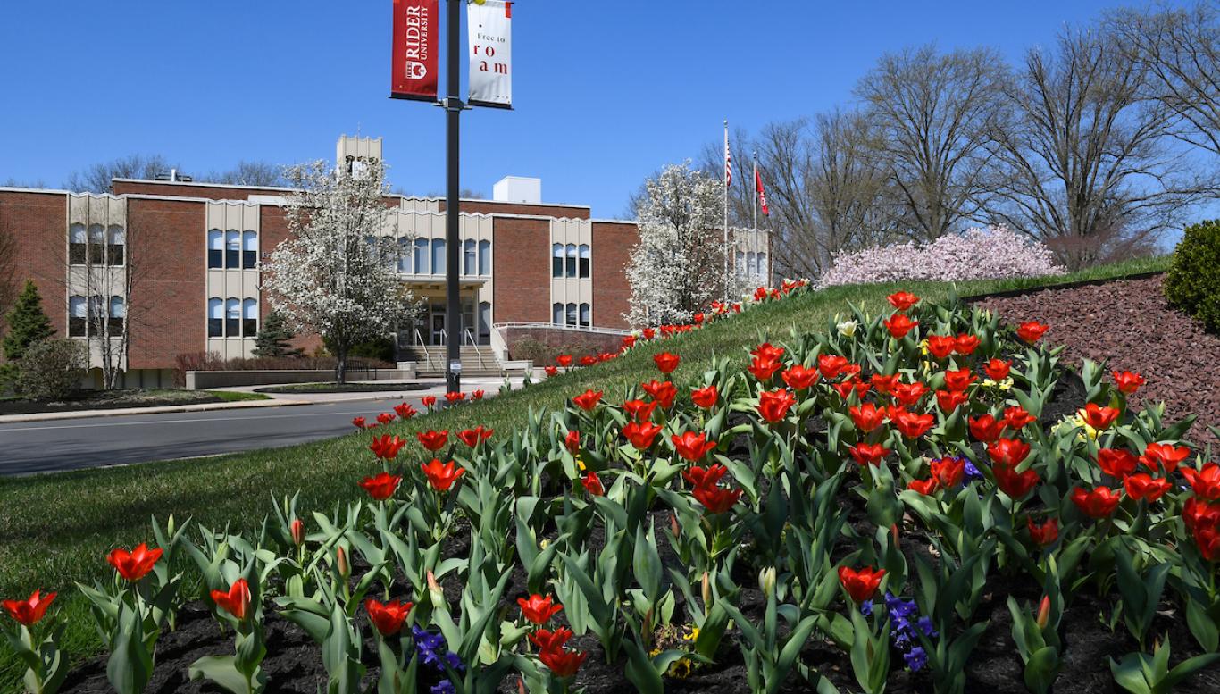 Moore Library in spring with tulips blooming