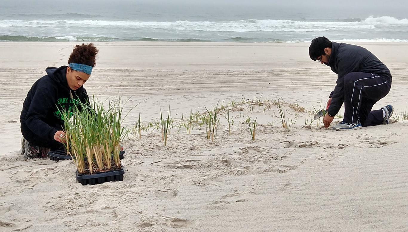 Students participate in fieldwork on the beach