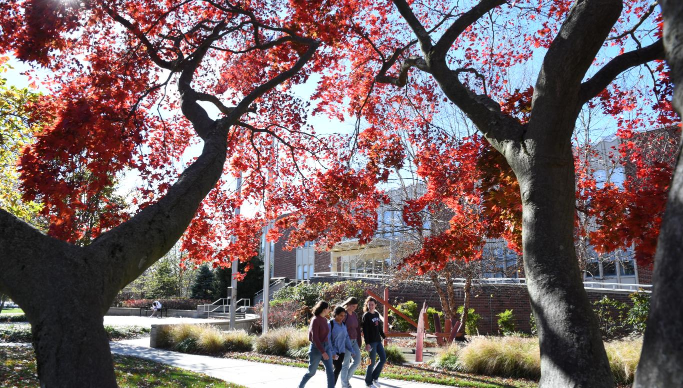 students walking campus together