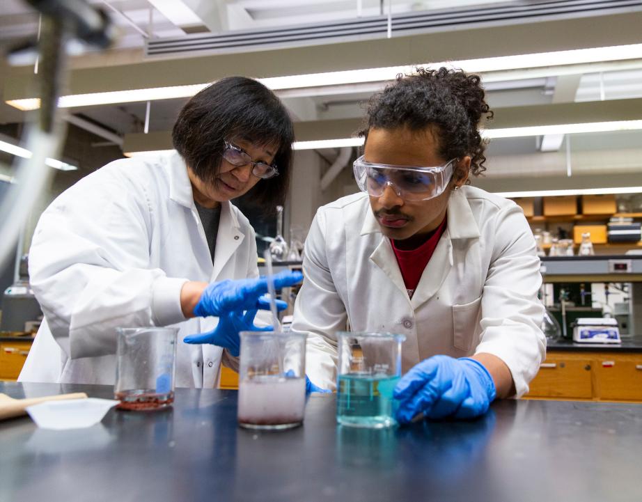 Chemistry professor Feng Chen works with student