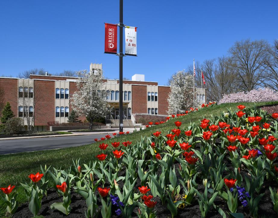 Moore Library in spring with tulips blooming