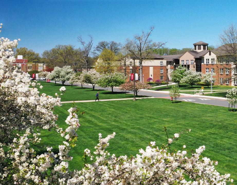 aerial view of Rider University campus
