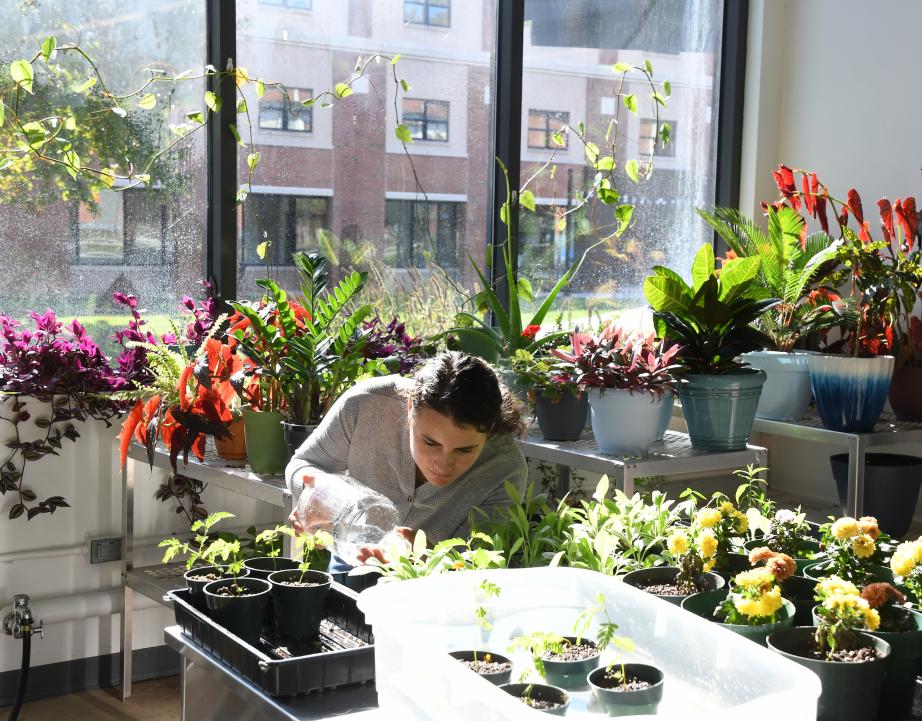 Student in greenhouse