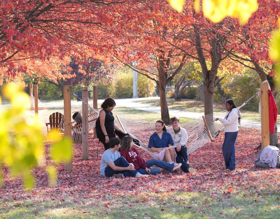 Students on campus in the fall