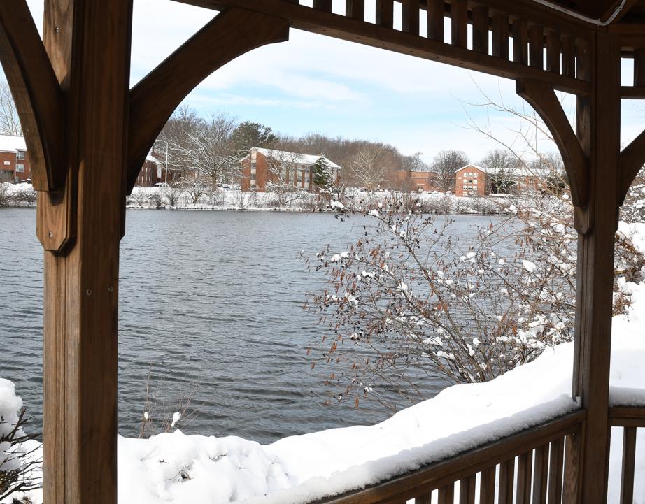 Overlooking Centennial Lake
