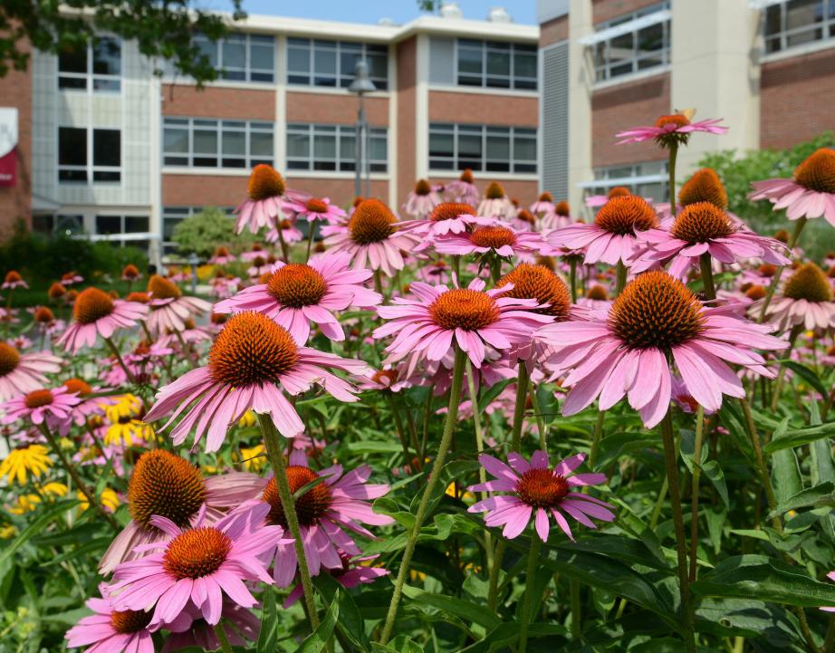 071917_campus_33.jpg