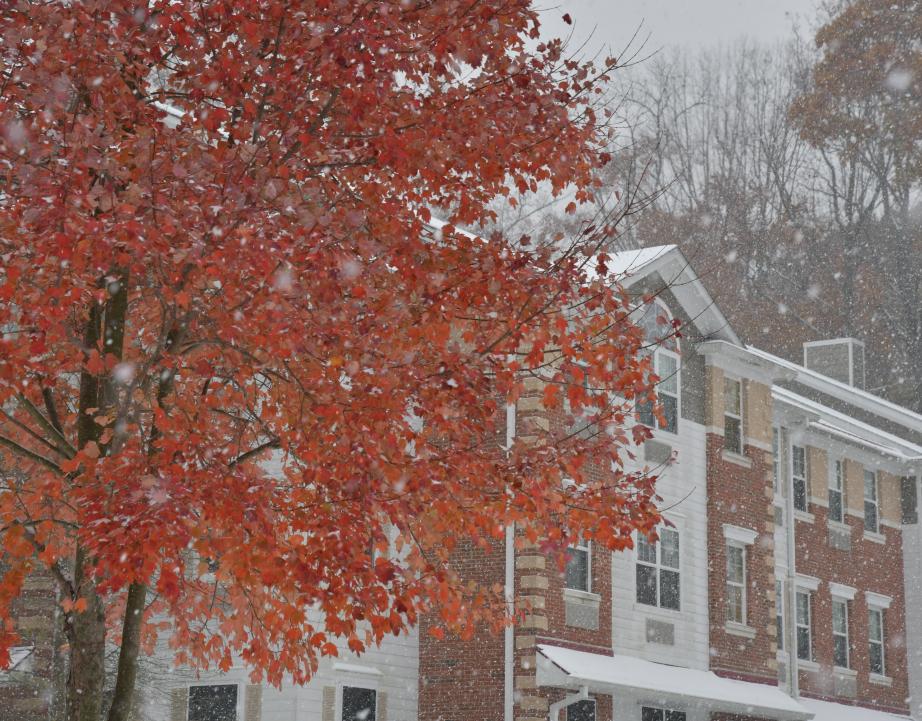 Snow around West Village