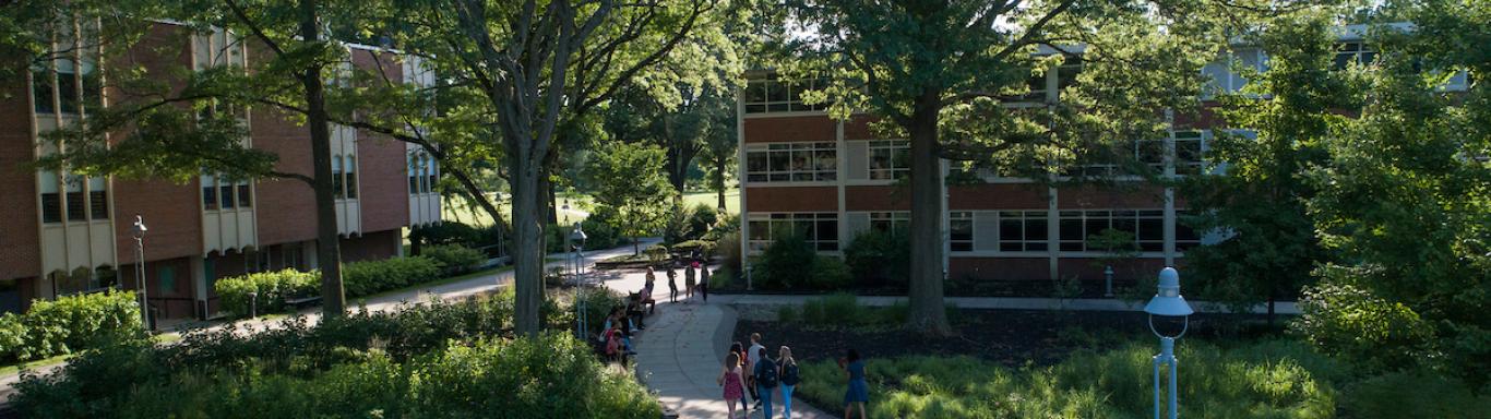 Students walk through academic quad