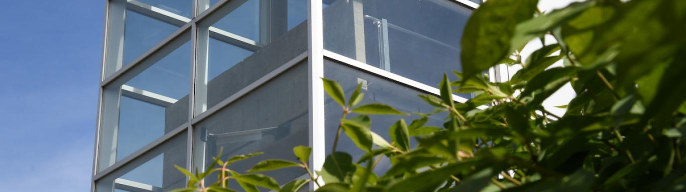 Plants next to Science and Technology Center