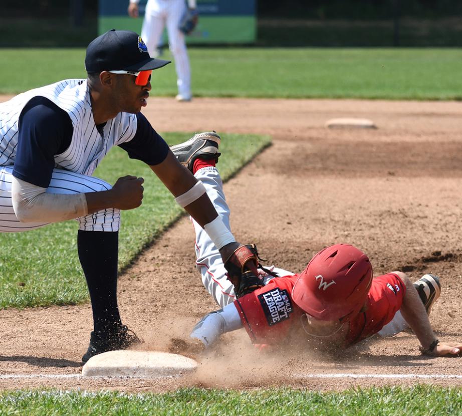 mlb draft league