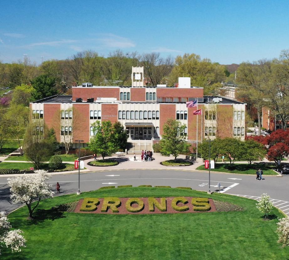 Aerial view of the campus mall and Moore Library