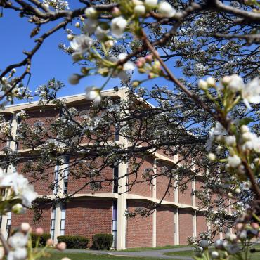 Shot of Fine Arts building through a blooming cherry blossom tree