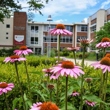 Education building with flowers in front of it.