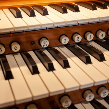 Organ keys
