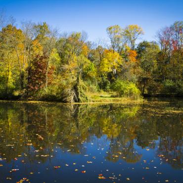 A scenic view of trees along the water.