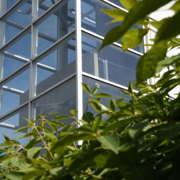 Plants next to Science and Technology Center