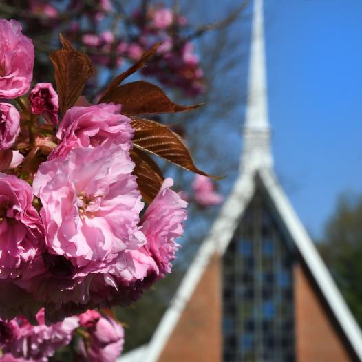 Blooming flowers in the foreground of Gill Chapel