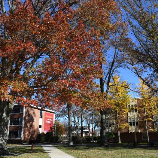 Rider campus in fall